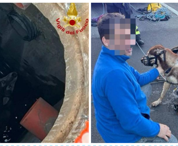 Morazzone, cane cade nel tombino: per salvarlo arrivano i vigili del fuoco