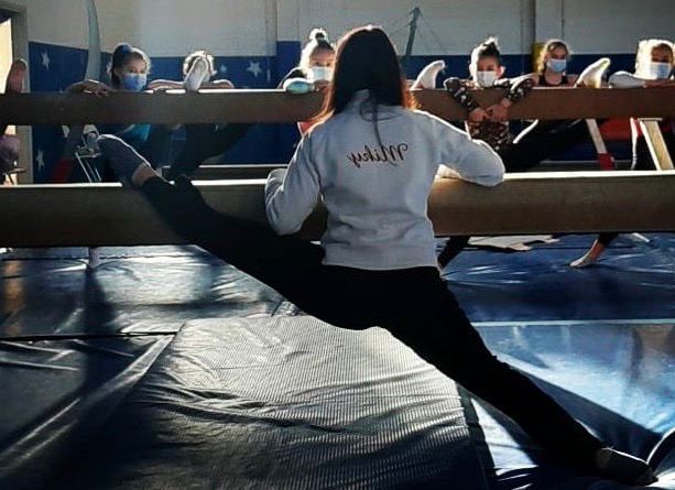 L'accorato appello della gloriosa Varesina: «Costi insostenibili e nessun aiuto, istruttori pronti ad andare avanti anche gratis. Sosteneteci»