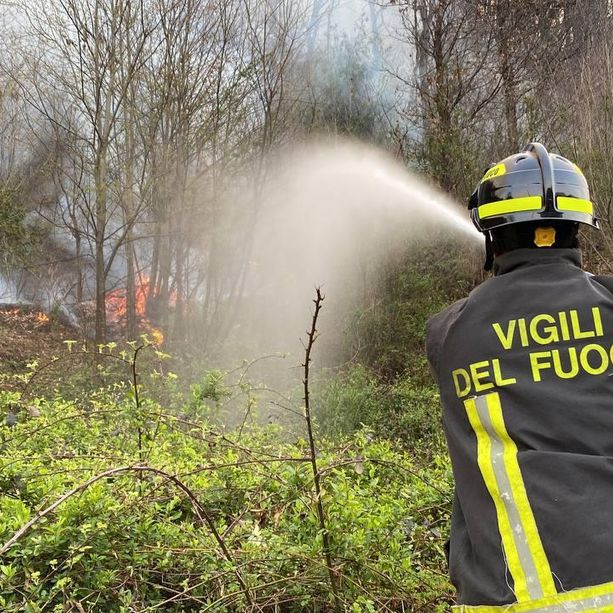 Buone notizie da Montegrino: l'incendio non ha più fronti attivi