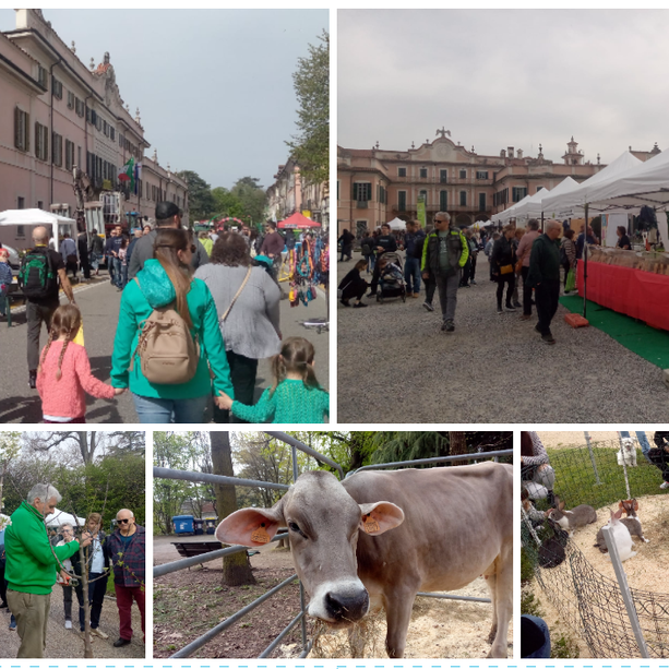 FOTOGALLERY. Agrivarese riempie i Giardini Estensi e il centro città: una domenica al fianco della natura
