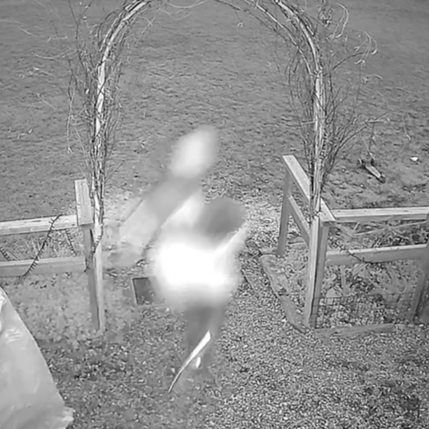 Furto con scasso al Chiosco del parco Mantegazza: ladri via con gli spiccioli, ma le telecamere hanno visto tutto