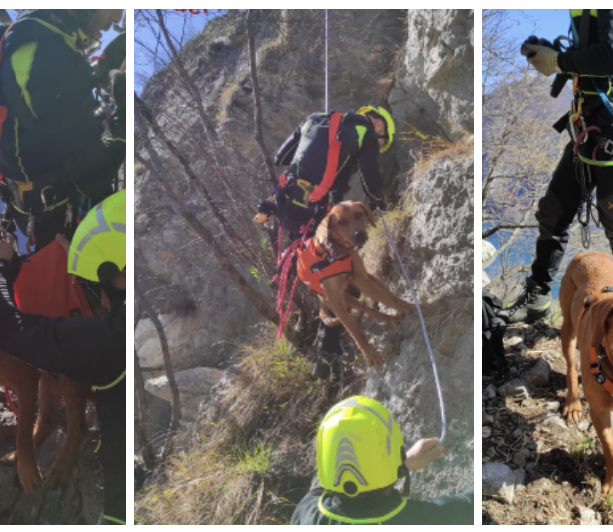 Due cani bloccati sul costone della montagna. Li salva l'elicottero dei vigili del fuoco di Malpensa