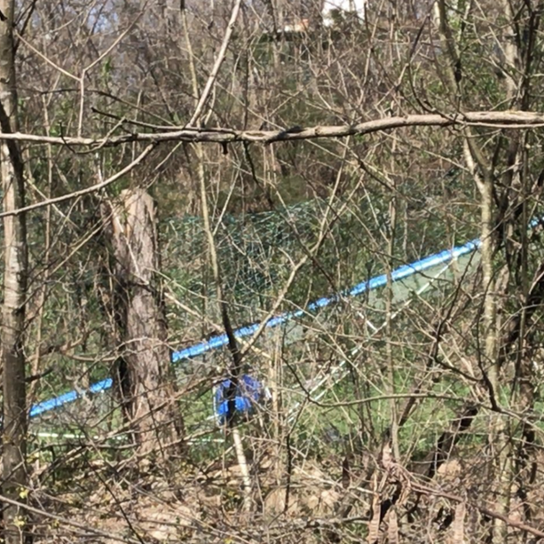 Ultraleggero in difficoltà precipita nei boschi di Gaggiolo, paura per il pilota