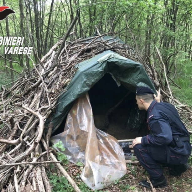 Ancora blitz dei carabinieri nei boschi della droga. A Cairate scoperti altri due bivacchi dei pusher