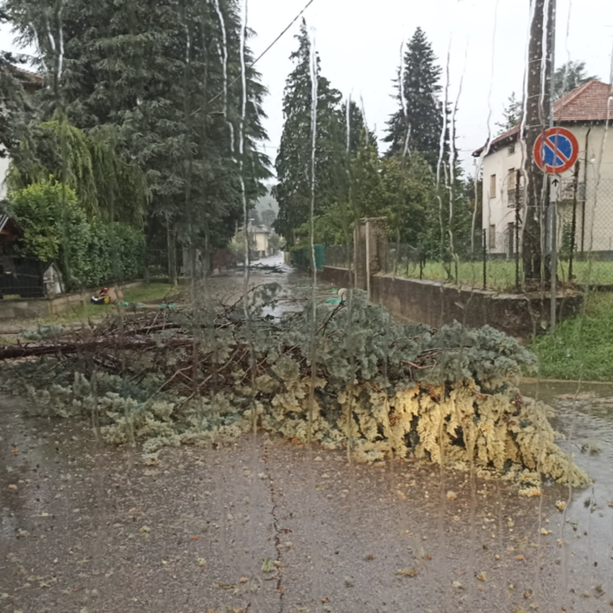 FOTO. Nubifragio colpisce all'alba il Varesotto: alberi caduti e tetti danneggiati