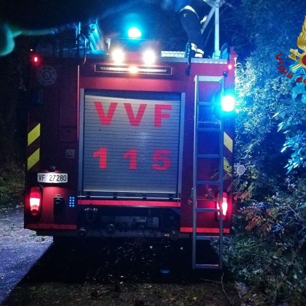 Notte di pioggia, vento e temporali: alberi caduti a Somma Lombardo e Luino