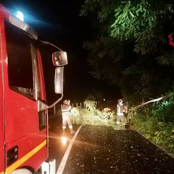FOTO. Forte temporale nella notte sul Varesotto: alberi caduti e vigili del fuoco in azione. Problemi anche a Malpensa