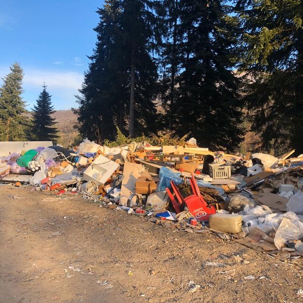 FOTO. Una ferita nei nostri boschi: eternit, mattoni, pneumatici e maiali. Viaggio nella discarica abusiva sequestrata dai carabinieri
