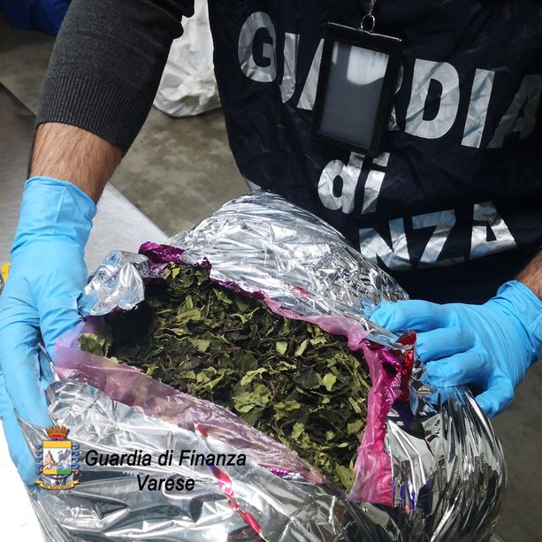 Maxi operazione della Guardia di Finanza di Malpensa: in 18 mesi sequestrati 900 chili di droga, 26 arresti e 17 denunce