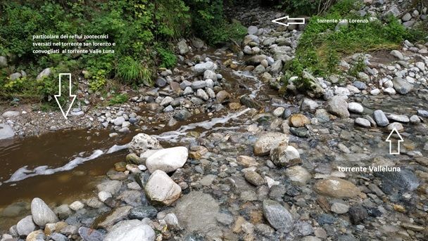 Casciago, 130 quintali di liquami nel torrente: denunciato imprenditore agricolo
