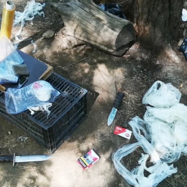 Spaccio al Parco Pineta: blitz dei carabinieri, due arresti e quattro ricercati