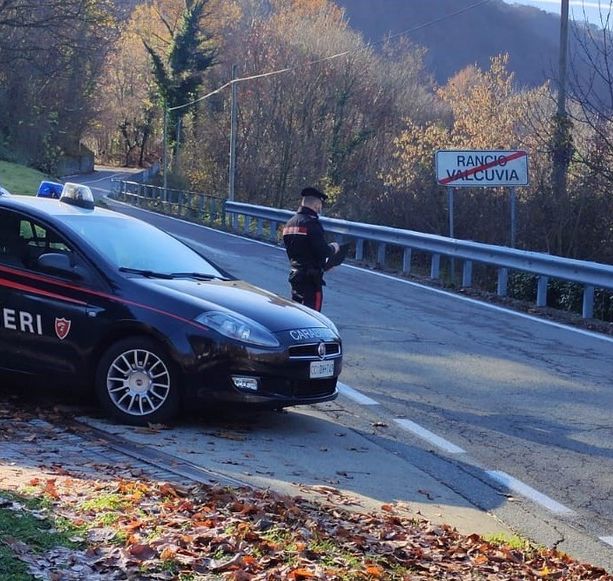 Furgone rubato in Valcuvia, scatta l'inseguimento. Il fuggitivo cerca di investire i carabinieri ma viene braccato nel bosco e arrestato