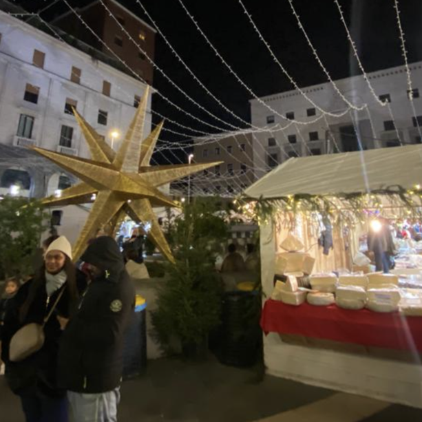 A Varese si accende il Natale: domani si alza il sipario sul grande spettacolo ai Giardini Estensi