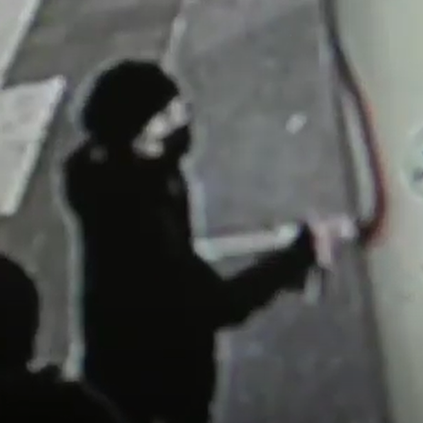 VIDEO. Le immagini delle telecamere che hanno incastrato la &quot;guerriera&quot; V_V