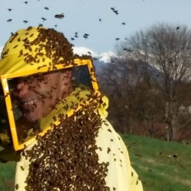 Michele Mottalini, il &quot;re&quot; del miele di Brebbia: «Non siamo noi ad aver scelto questo mestiere ma le api ad avere scelto noi»