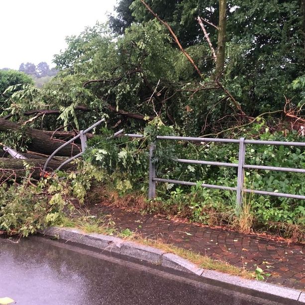 Nubifragio si abbatte sul Basso Varesotto, strade e sottopassi allagati, alberi caduti
