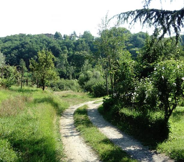 Varese, la bretellina di via Selene fa discutere la maggioranza: «Un'area verde da salvaguardare»
