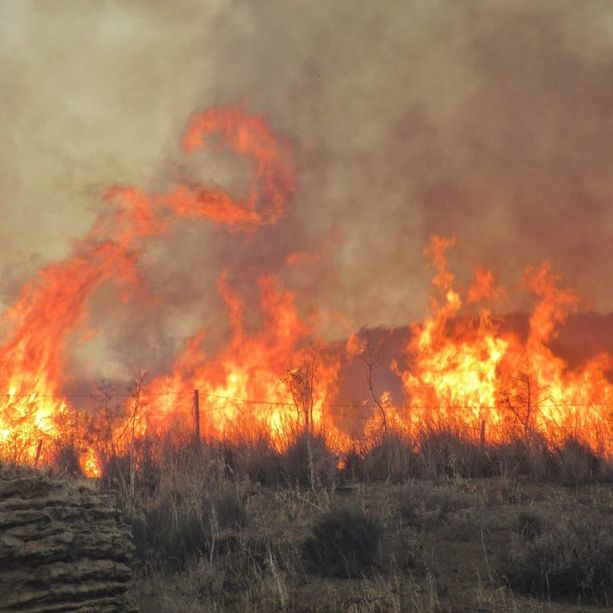 Avviata un’azione legale collettiva per la prevenzione degli incendi in Sicilia