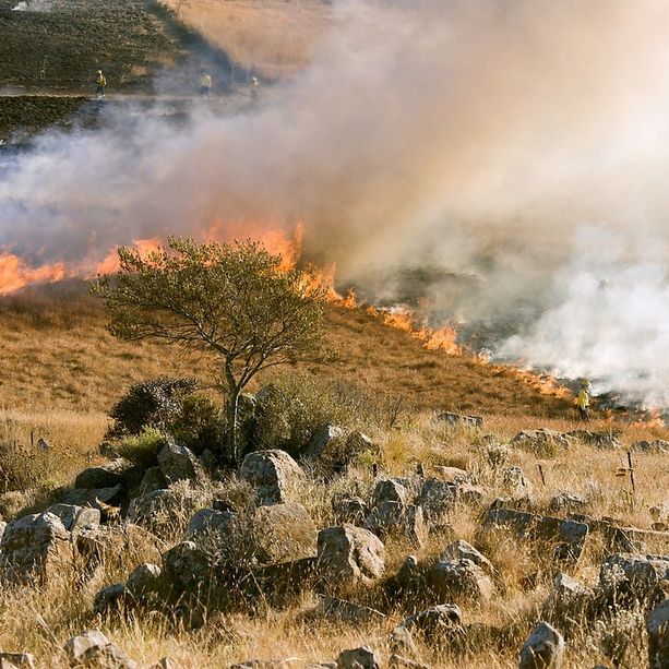 Sardegna a fuoco, il bilancio è di 42 incendi