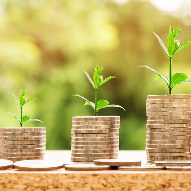 Prestiti in calo dell’1,5% negli ultimi dodici mesi secondo i dati della Banca d’Italia