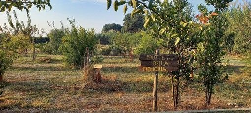 Oltre mille ettari di terreni confiscati alle mafie saranno assegnati a giovani agricoltori