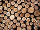 Taglio del nastro per l’impianto ‘Circular wood’, primo in Italia nel recupero del legno di scarto