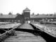‘Dove inizia la notte’: a Marghera in scena lo spettacolo teatrale in memoria della Shoah