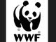 Dall’incontro di Marevivo e Wwf emerge il ‘Valore natura’ come impegno di tutti