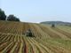 Agricoltori europei in piazza per sollecitare Bruxelles ad un cambio di rotta