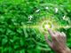 Sempre più richieste le competenze green, interessano otto assunzioni su dieci
