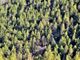 Il ruolo centrale delle foreste nella tutela del clima al centro di una conferenza internazionale organizzata dai carabinieri