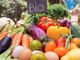 L’Italia è il Paese europeo che vanta il minor livello di residui di agrofarmaci negli alimenti