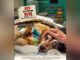 Torna ad Asti la super veterinaria Monica Pais per presentare il docufilm girato nella clinica veterinaria più famosa d'Italia, la Duemari di Oristano