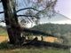 Temporale e grandine su Asti e dintorni, oltre venti interventi dei vigili del fuoco [VIDEO]