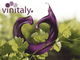 Al via il Vinitaly: per l'Astigiano ancora un ruolo di primo piano