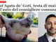 In Campania spunta un'intimidatoria testa di maiale per un consigliere comunale, ma un giornale usa foto di un avvocato di Asti