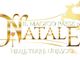 Dal 2 novembre ad Asti modifiche della viabilità e sosta per l'allestimento del “Magico Paese di Natale nelle Terre Unesco”