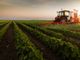 La Regione stanzia 8,6 milioni a sostegno delle aziende agricole pimontesi