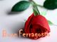 Nel weekend di Ferragosto cosa si può fare nell'Astigiano? Ecco tutti i nostri consigli