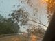 La Provincia di Asti dichiara lo stato di emergenza per il maltempo di agosto [VIDEO]