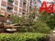 Asti: pioggia e vento sradicano albero in via Rosselli. Colpite due auto