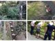 Un'odissea: i giardini del Fossato approdano in comune e il Municipio si attiva