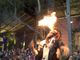 Entierro de la sardina, l’evento tradizionale di Murcia in arrivo a Genova (Video)