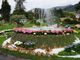 Tutto pronto per l'edizione 2022 di Euroflora (Foto e Video)