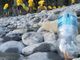 Inquinamento: per l'indagine Beach Litter 2020 di Legambiente in Liguria abbonda il polistirolo da attività di pesca