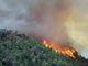 Aumenta il pericolo di incendi boschivi in Ticino, passato da marcato a forte