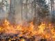Il grado di pericolo di incendi boschivi nel Cantone attualmente è passato da marcato a forte