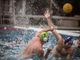 Pallanuoto, al termine di una partita mozzafiato Lugano batte Carouge 10 a 9