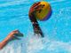 Pallanuoto, big match Sharks – Sciaffusa al Lido di Lugano