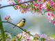 Arriva la primavera e nasce la &quot;Giornata cantonale sulla vita&quot;
